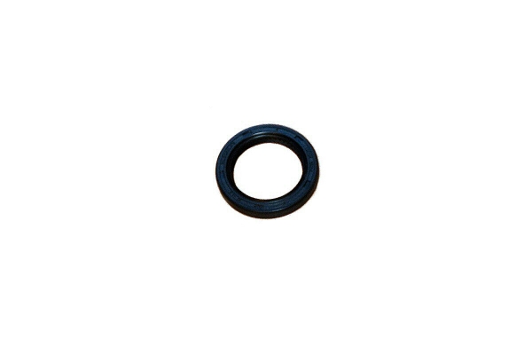 REINZ Wellendichtring Kurbelgehäuse 32x45x6 für MINI One, Cooper, Cooper S, JCW W10 W11 - 81-34805-00 - Instandhaltung für Ihren MINI